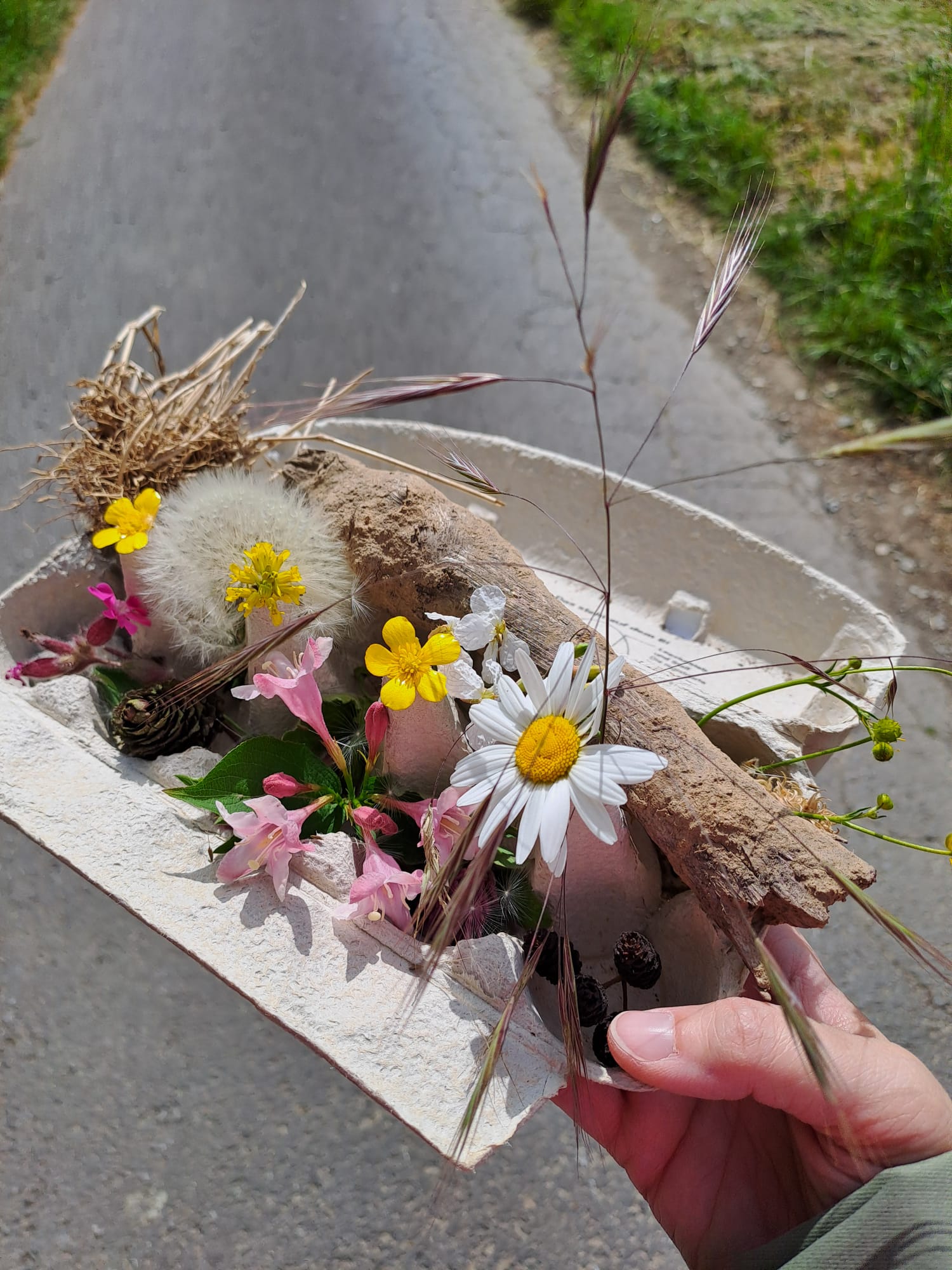 Familienwanderung Hembsen