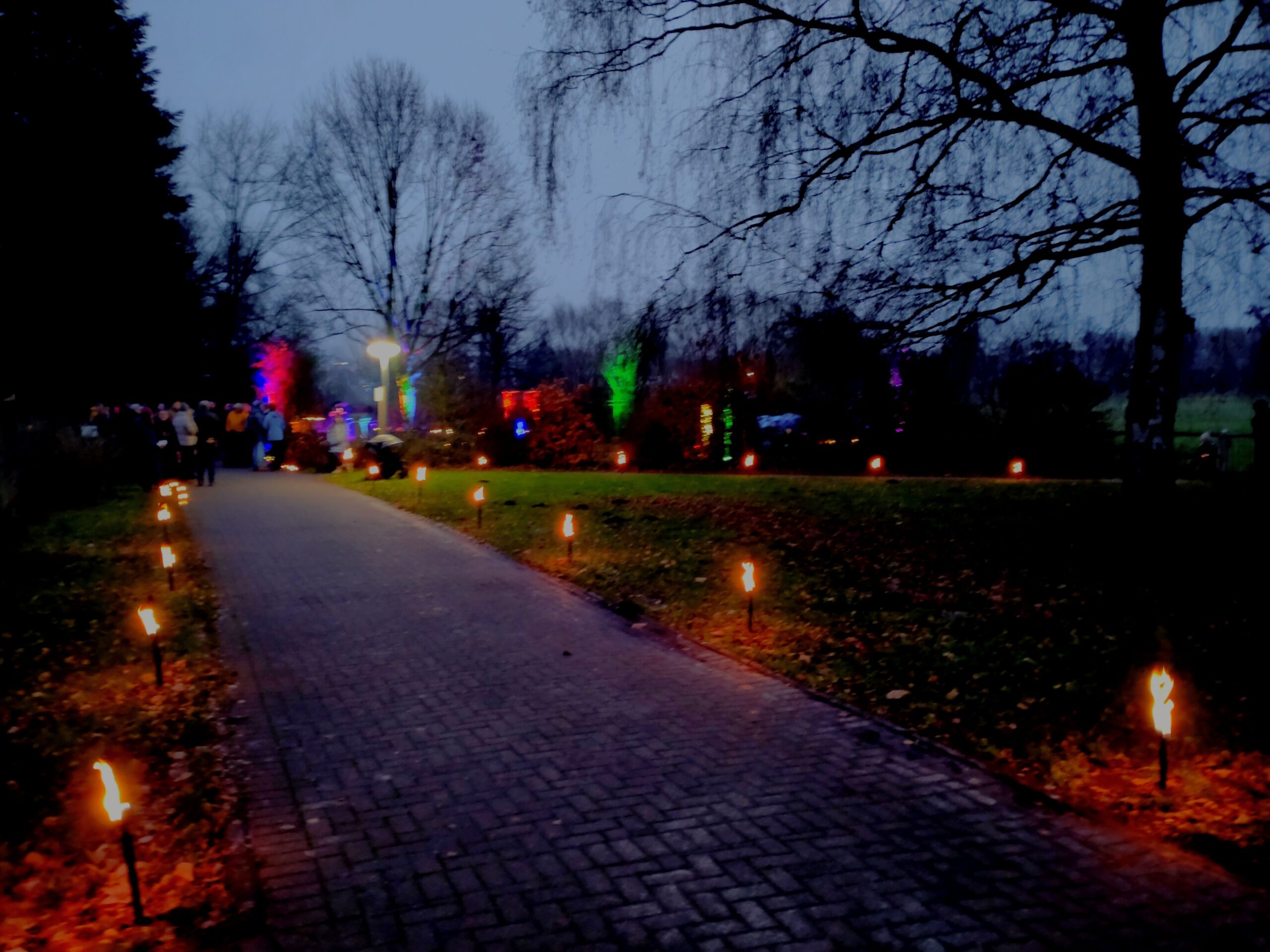 Adventsleuchten zu Lucia im Bibelgarten Brede 2025