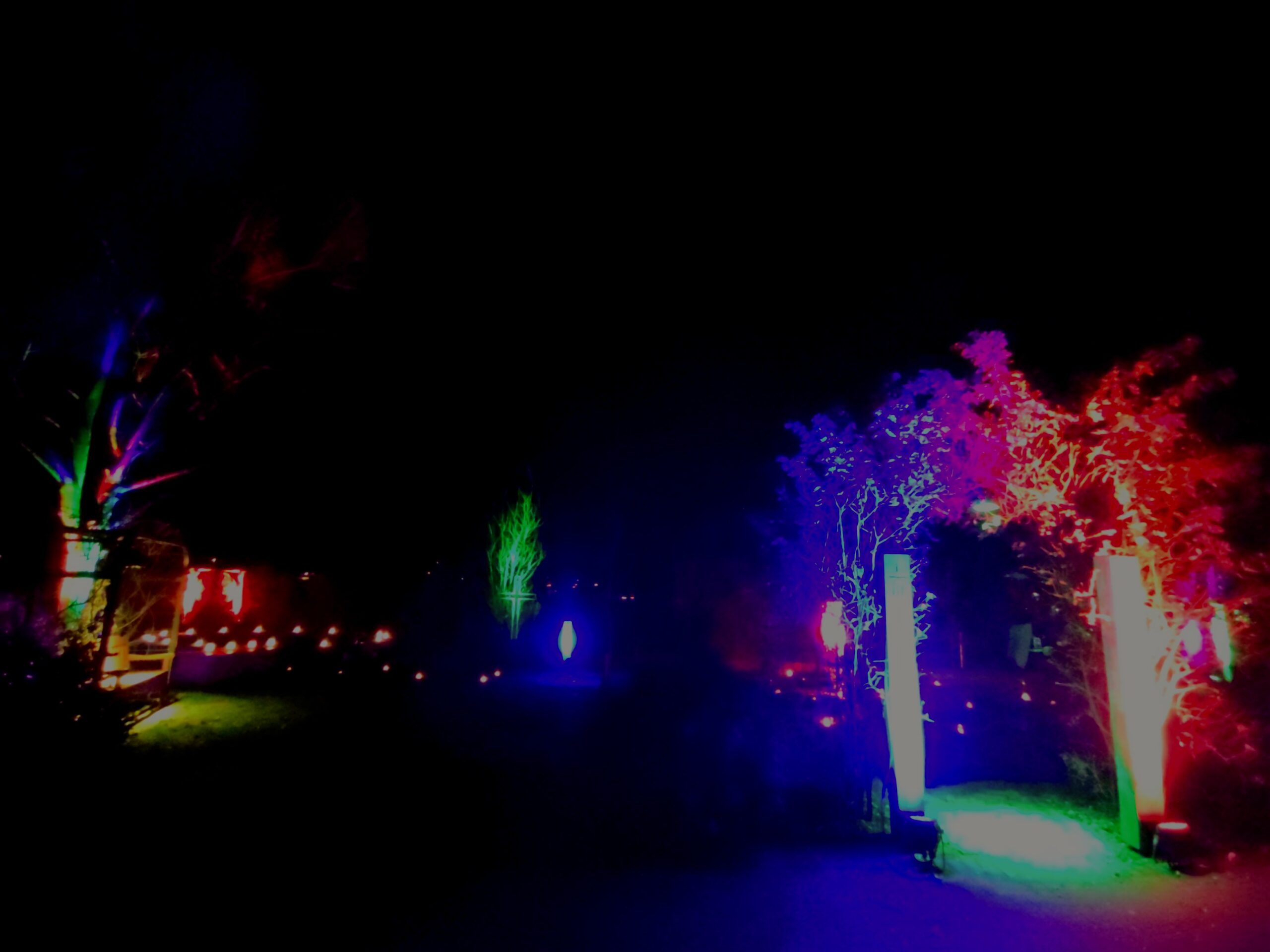 Adventsleuchten zu Lucia im Bibelgarten Brede 2025