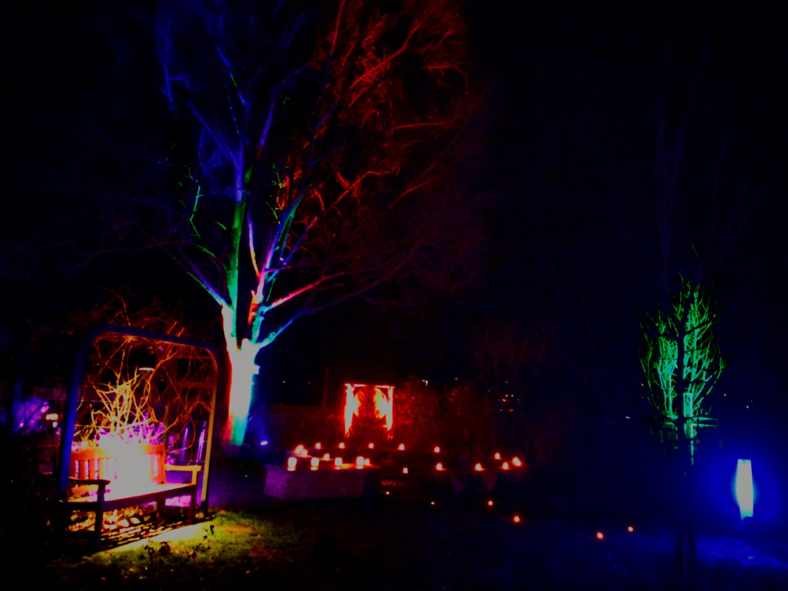 Adventsleuchten zu Lucia im Bibelgarten Brede 2025